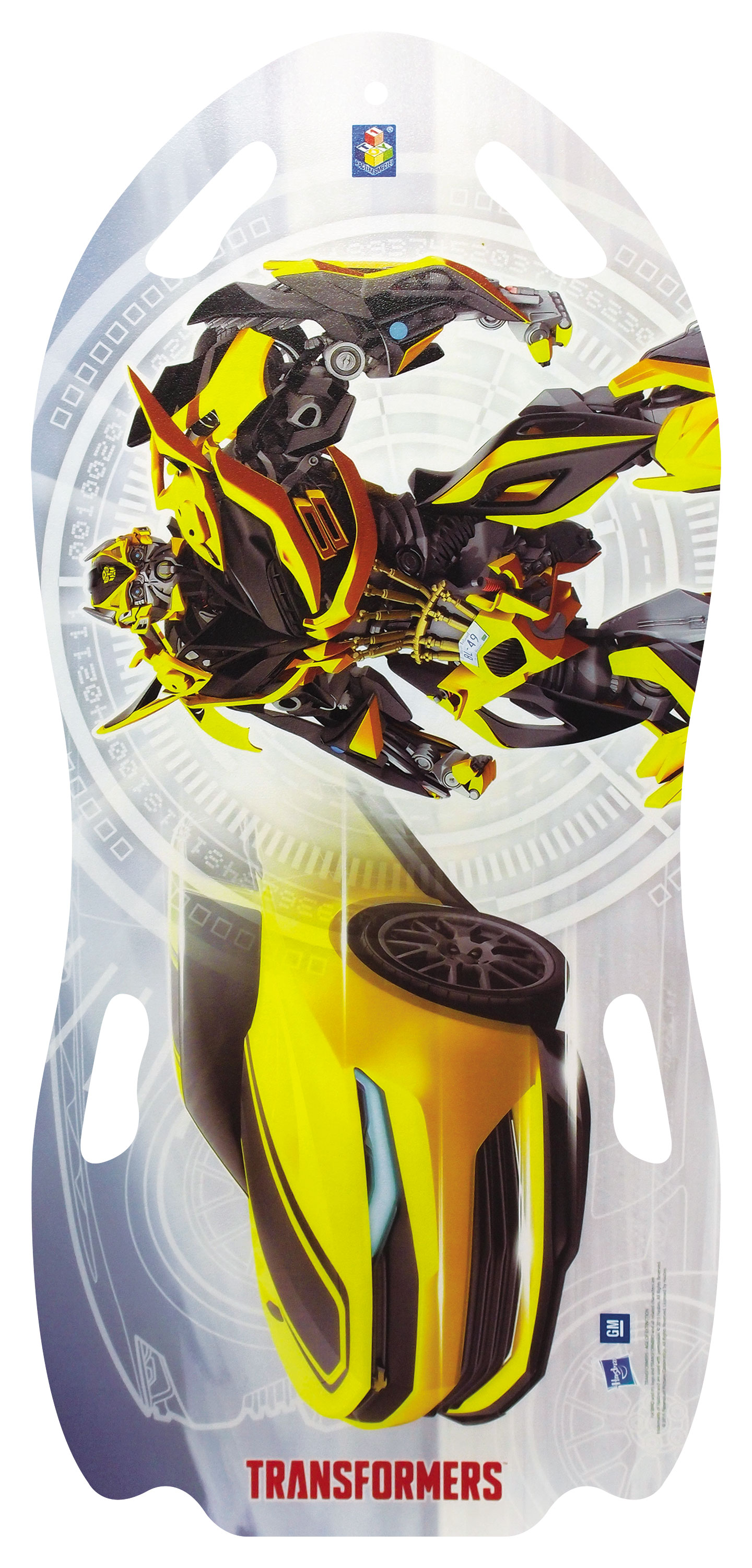 ТЮБИНГИ/ЛЕДЯНКИ