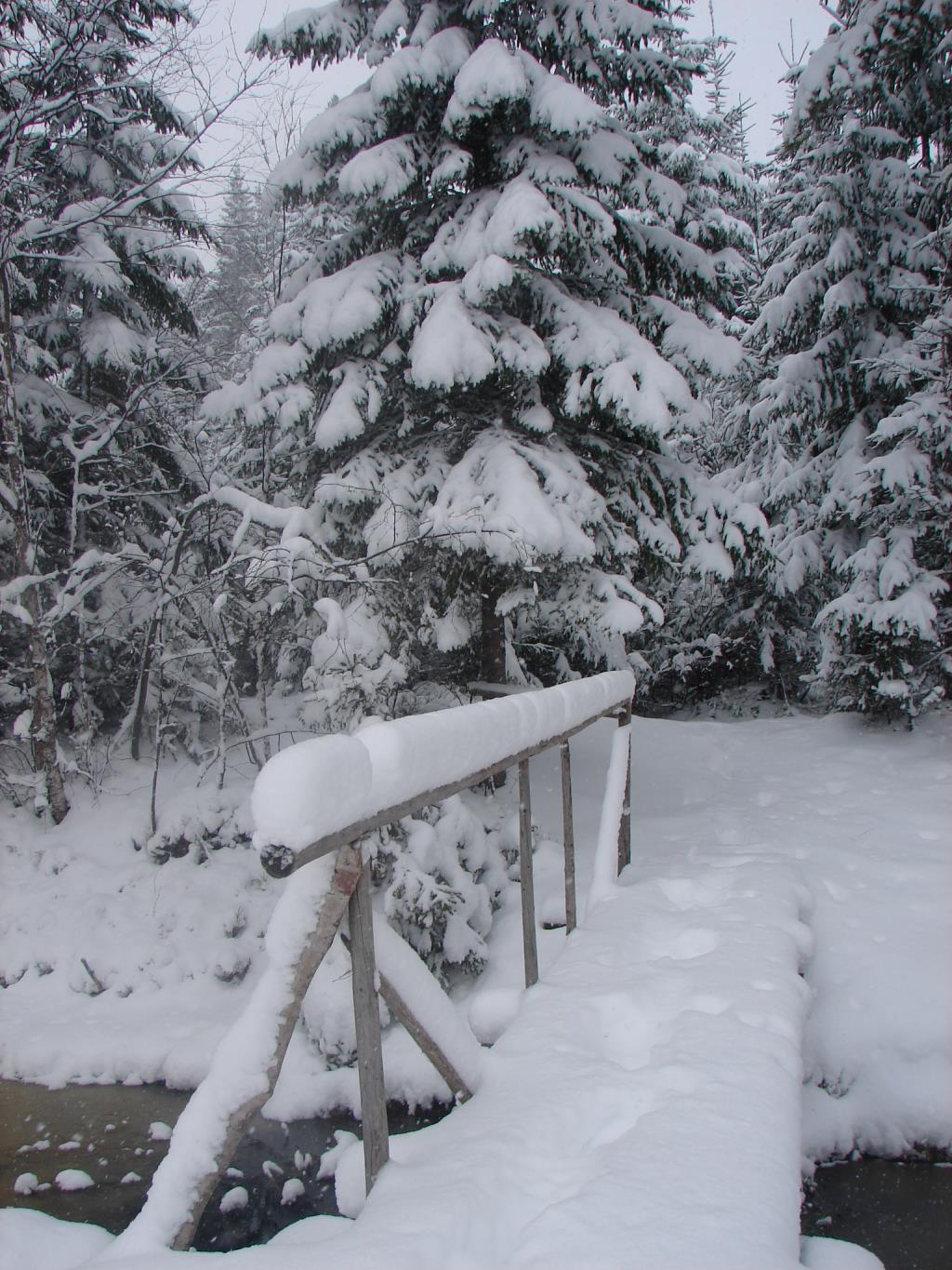 внезапная зима