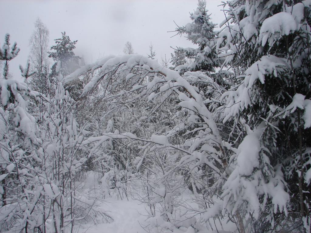 внезапная зима