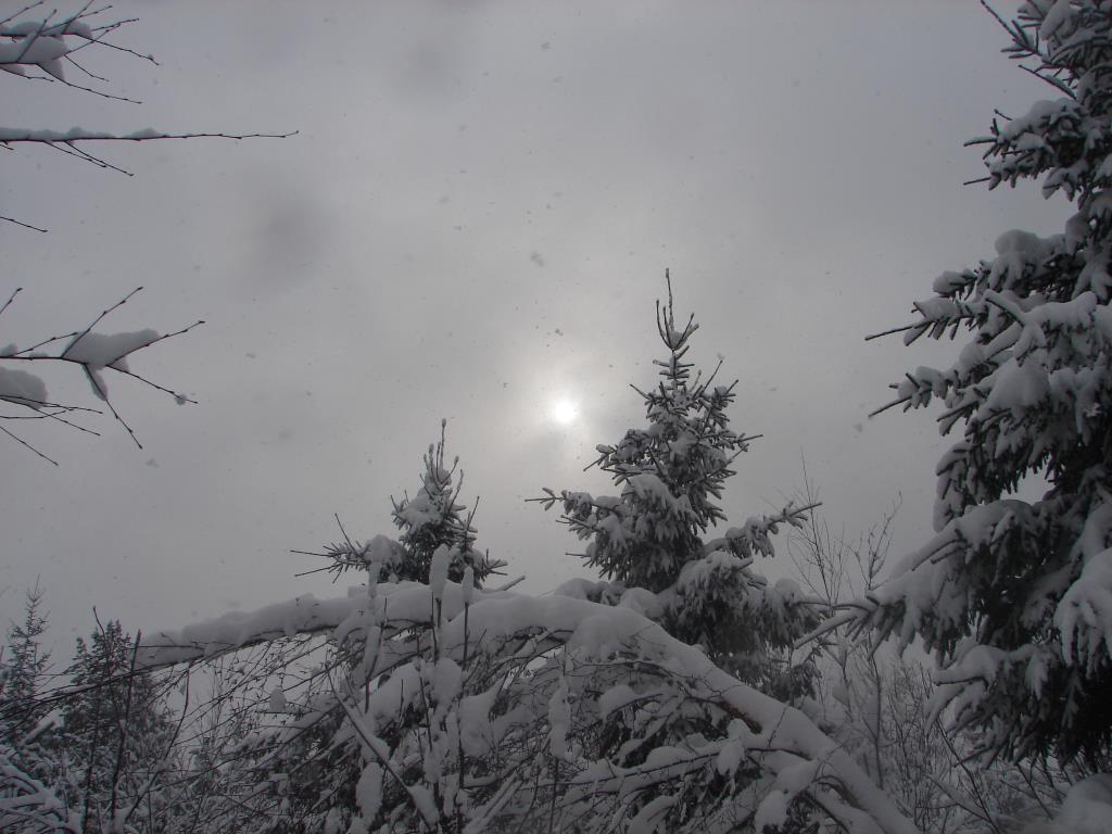 внезапная зима