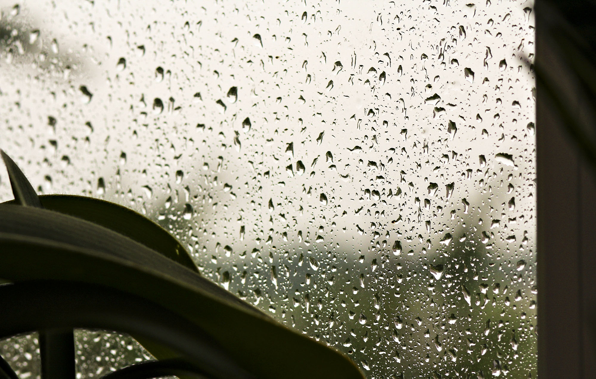 Дождик ласково. Нежный дождь. Слезинки дождя. Дождь на стекле рисунок. Дождик ласковый нежный и тонкий.