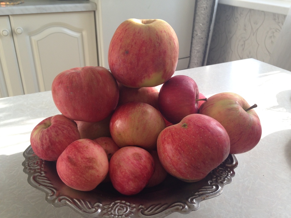 Яблоки с дачи. . Яблоки с дачи
