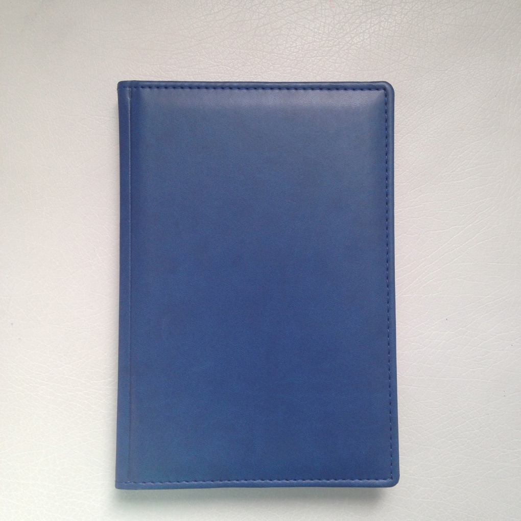 Ежедневник. Цвет синий.. Канцтовары