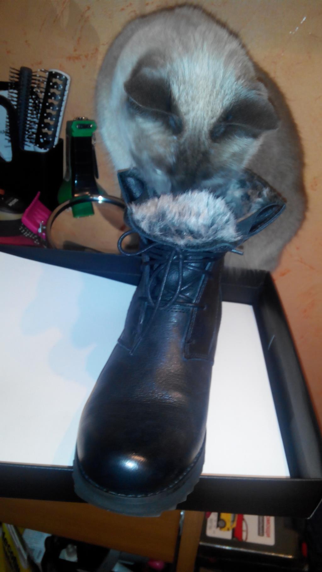 Clarks успешно носится))