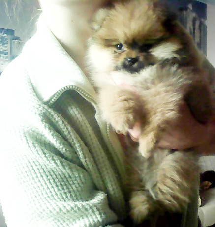 Моя Девчуля. 