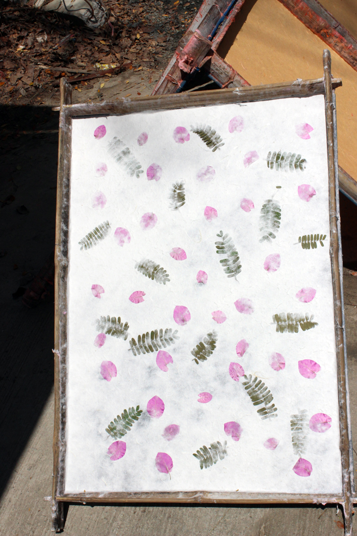 Бумага с натуральными растениями. Как делают тутовую бумагу ручной работы