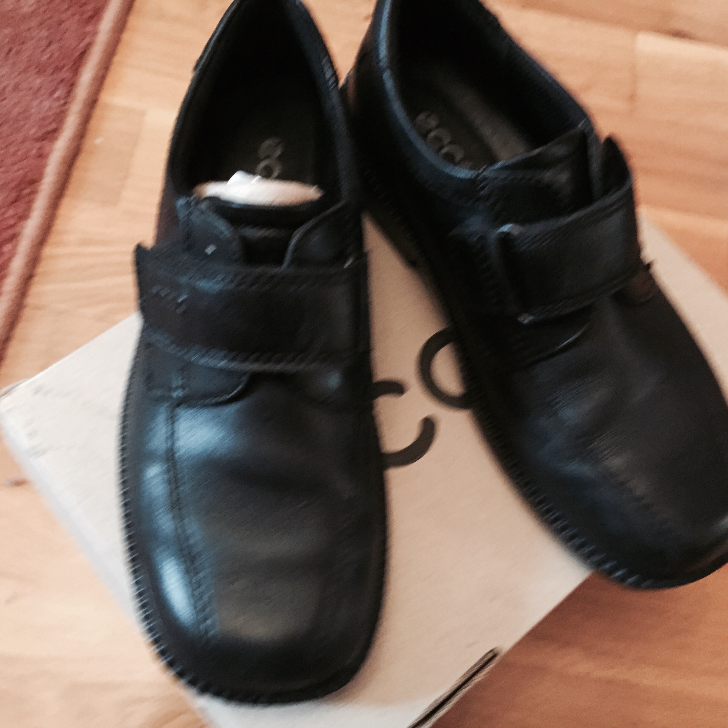 Ecco ботинки размер 35 по стельке 23.5см. Новая папка