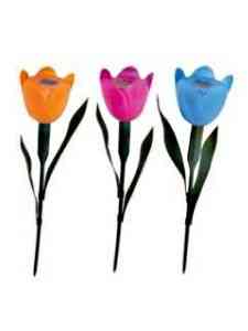 Садово-дачное