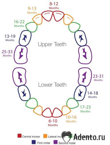 полезно ЗНАТЬ (маме)