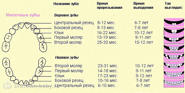 полезно ЗНАТЬ (маме)