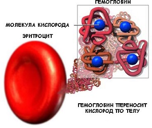 полезно ЗНАТЬ (маме)