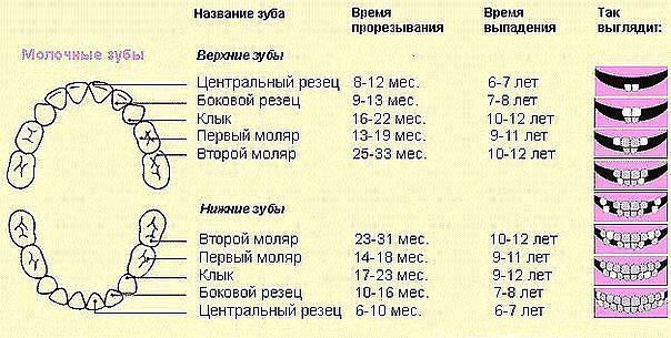 полезно ЗНАТЬ (маме)