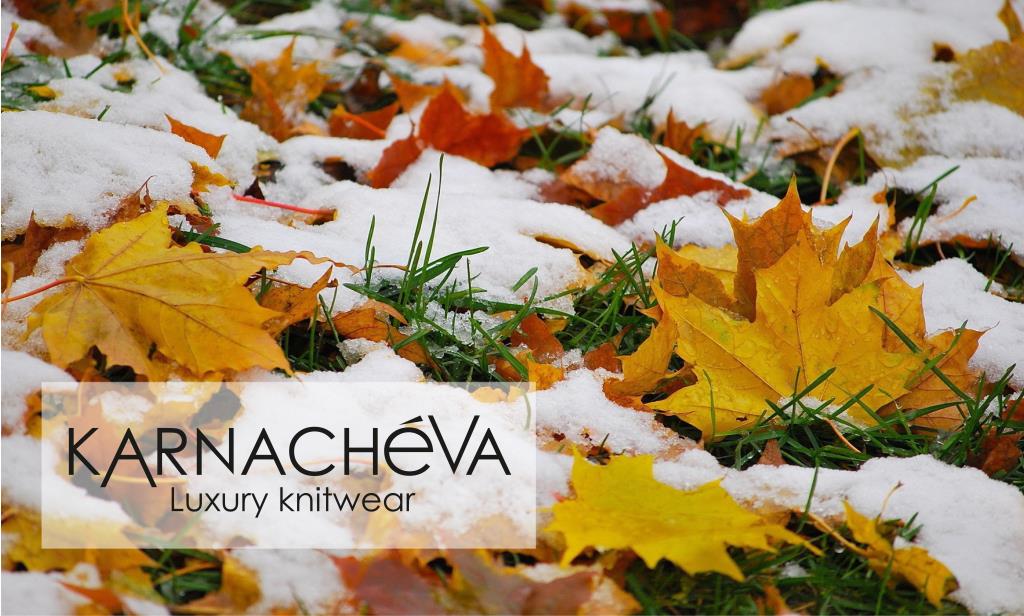 Дизайнер KAR***N*ACHE`VA