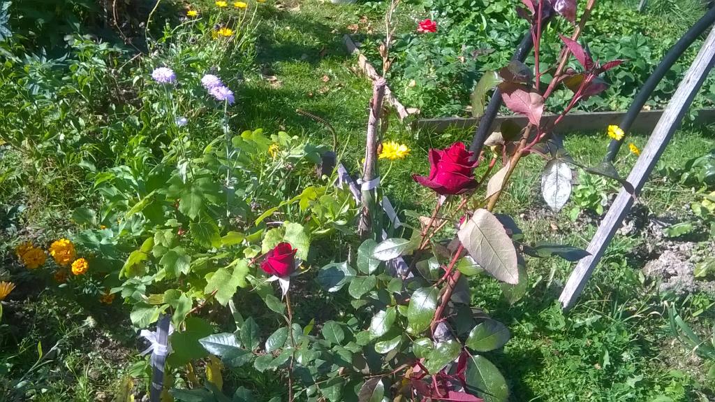 26 сентября 15. 26 сентября 15