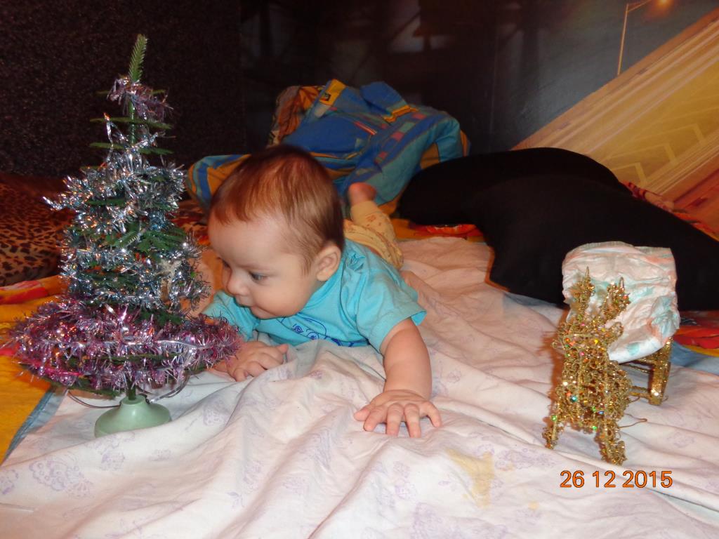 Эх.маловата елка-подарки не влезут. Самый семейный праздник