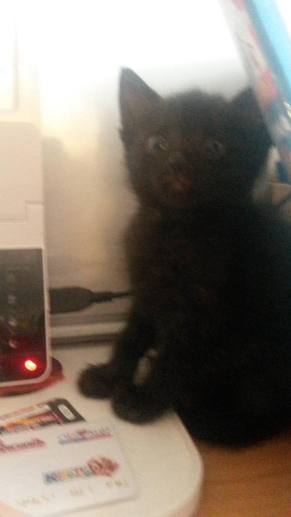 Василиса 1 день дома. 