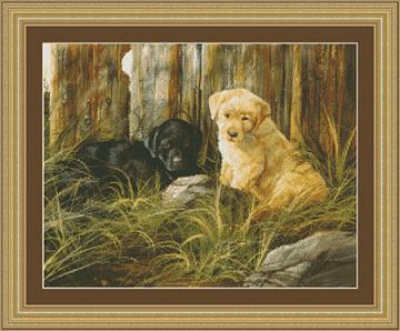 эти наборы лежат и ждут своего часа