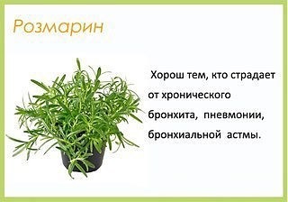 полезно ЗНАТЬ (маме)