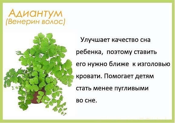 полезно ЗНАТЬ (маме)
