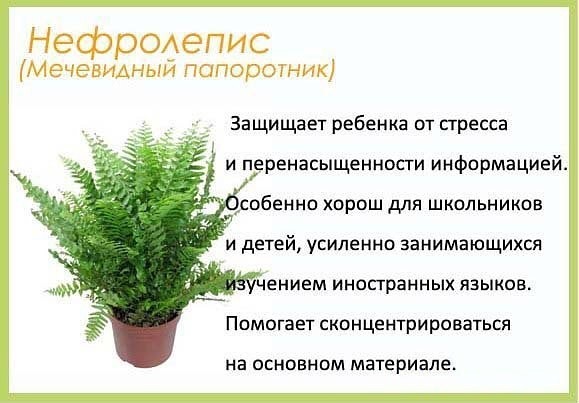 полезно ЗНАТЬ (маме)