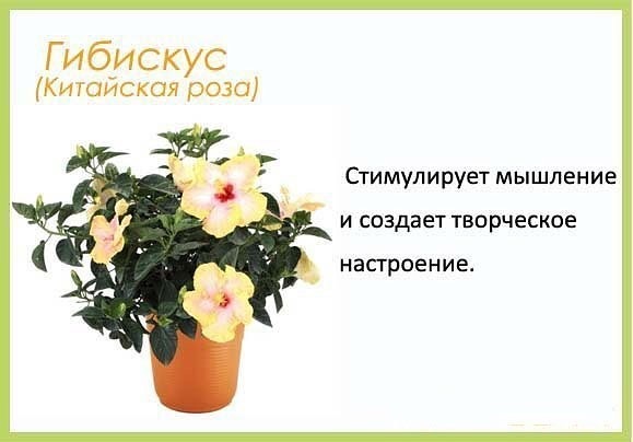полезно ЗНАТЬ (маме)