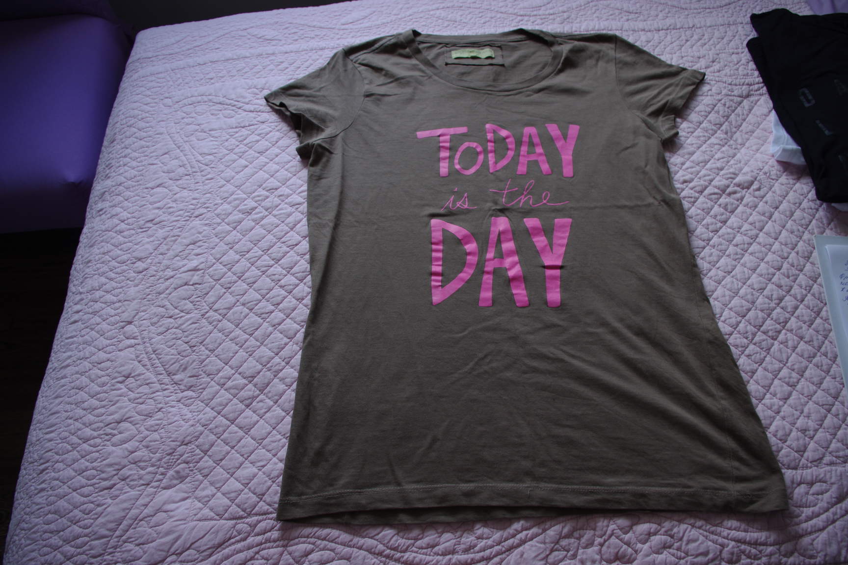 Футболка Сильвиян Хич-М-700. ЗАБРАЛИ