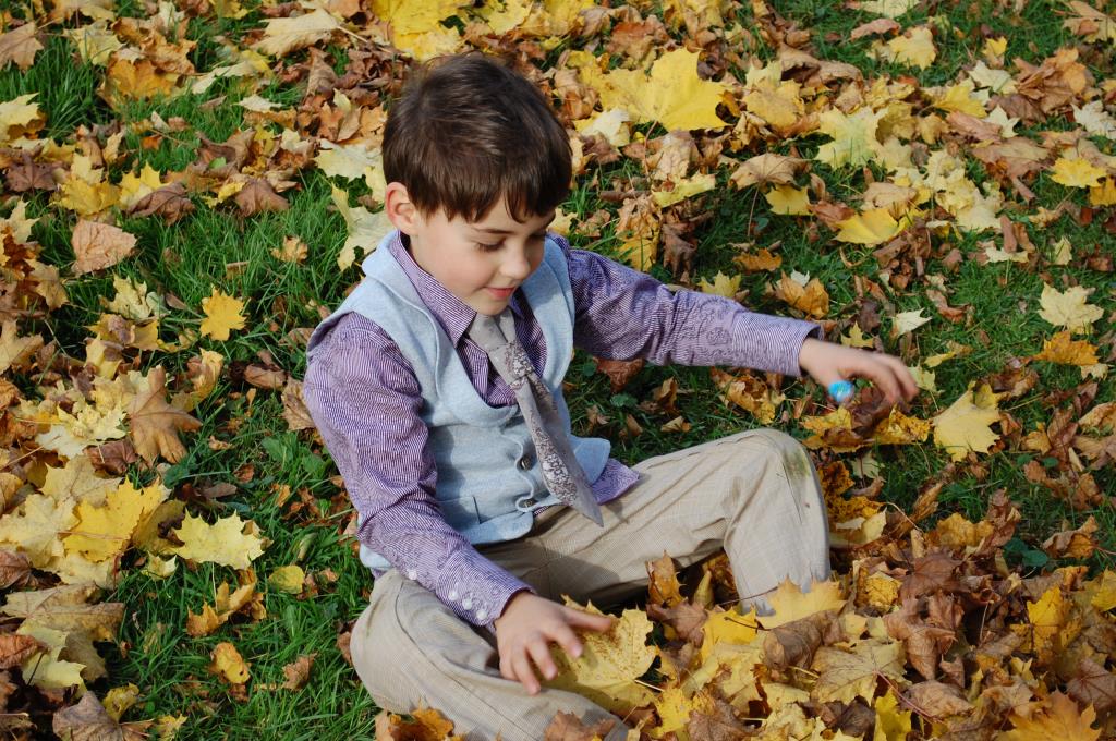 подтверждение краски осени. kosmos