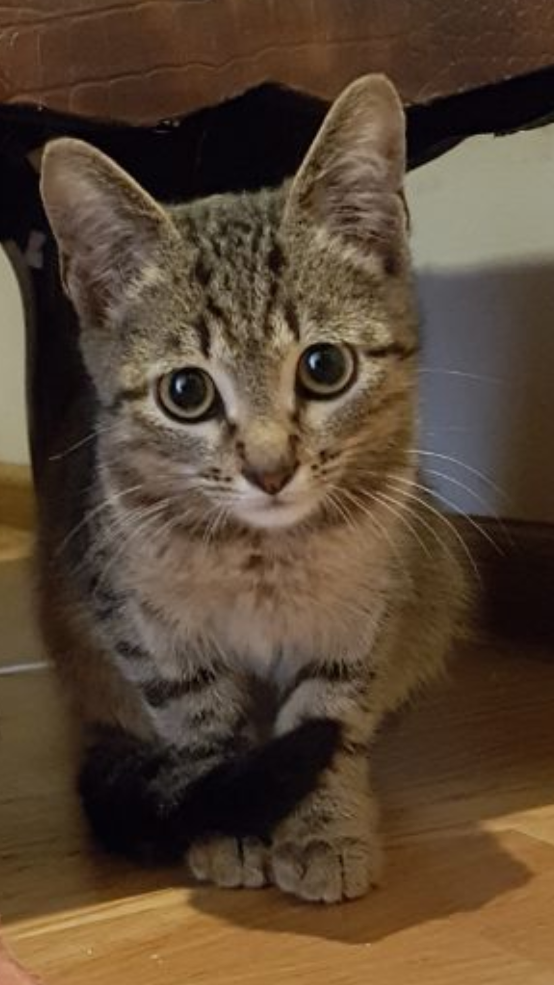 первый день.. 