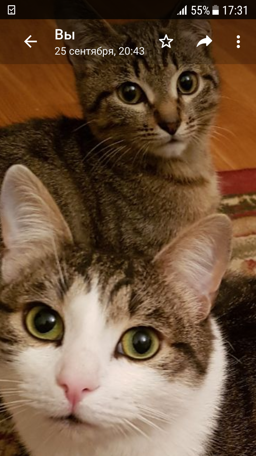 со старшим другом.. 