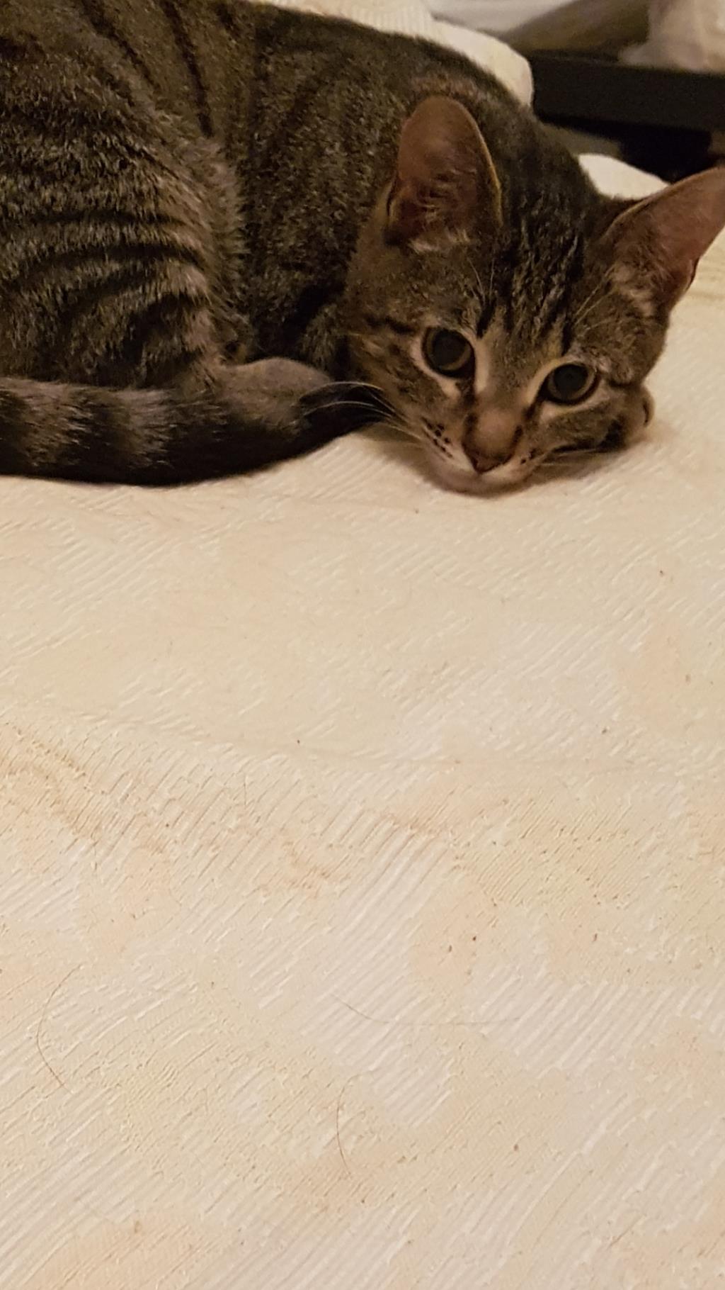 думает о чем-то..... 