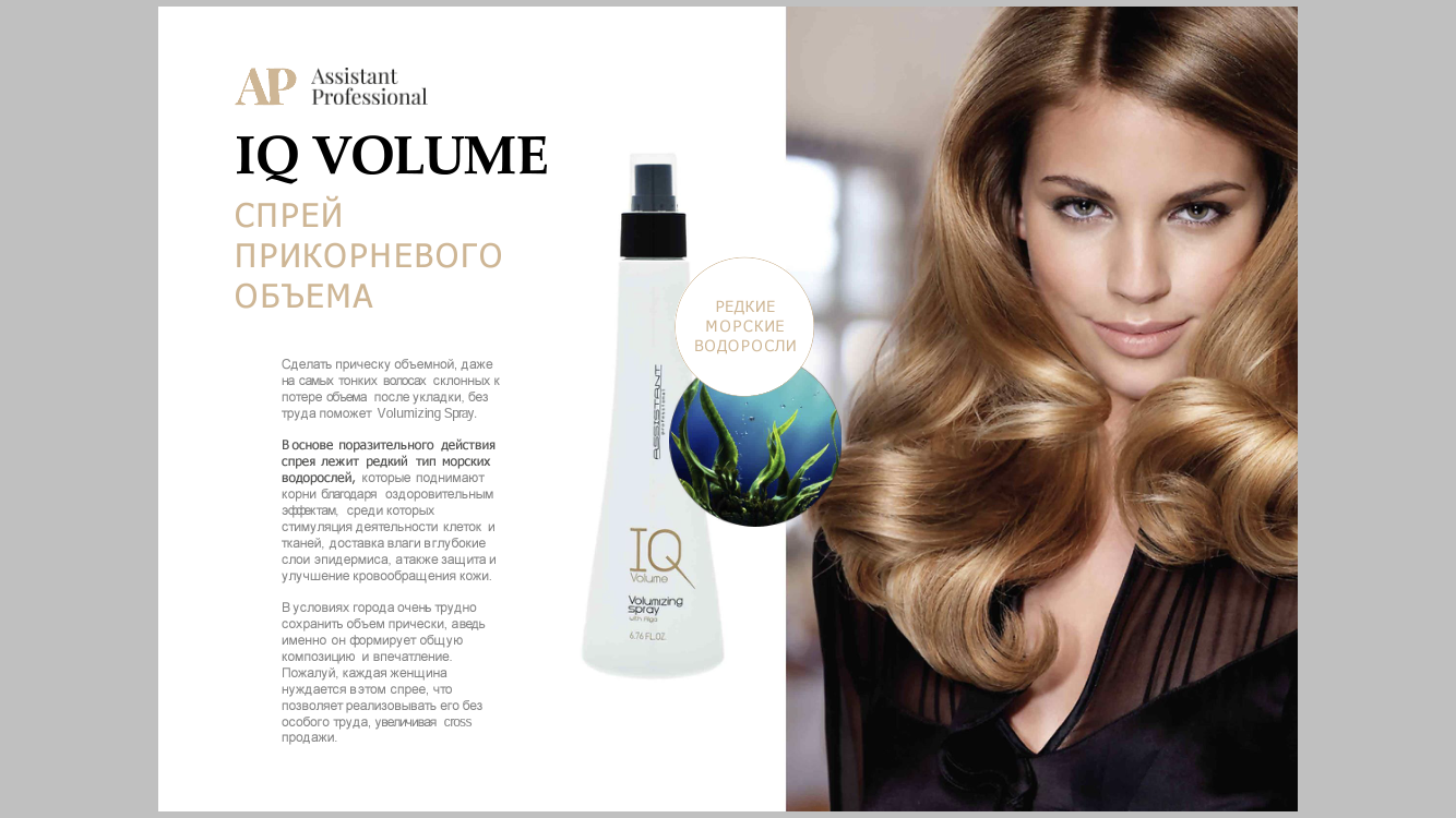 Презентация 2017