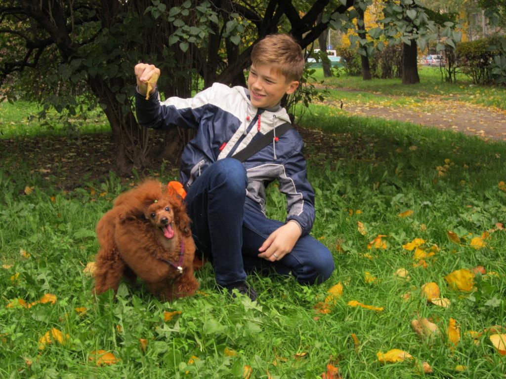 Рыжая наглая морда