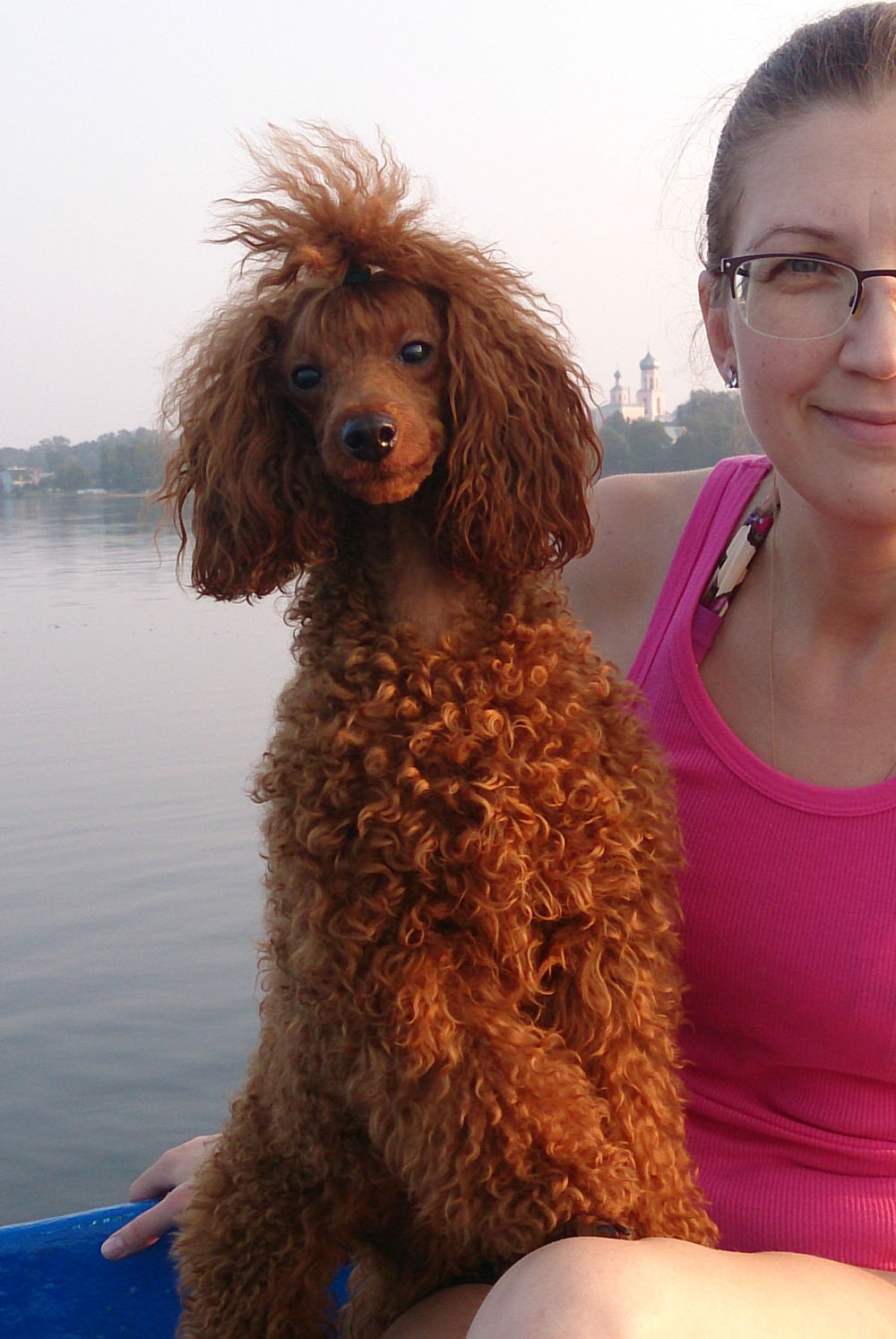 Рыжая наглая морда