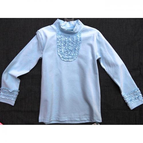 2-555 голубой. школа