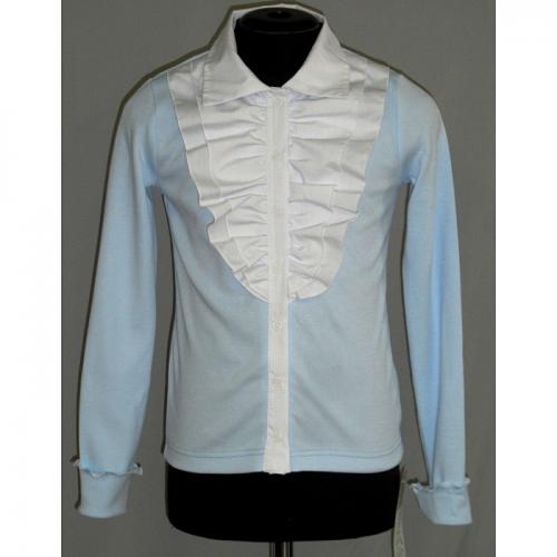 2-684 голубой. школа