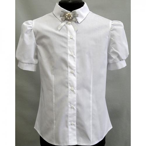 2-764 серая брошь. школа