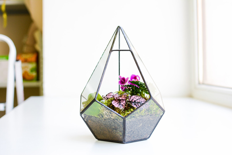 Флорариумы