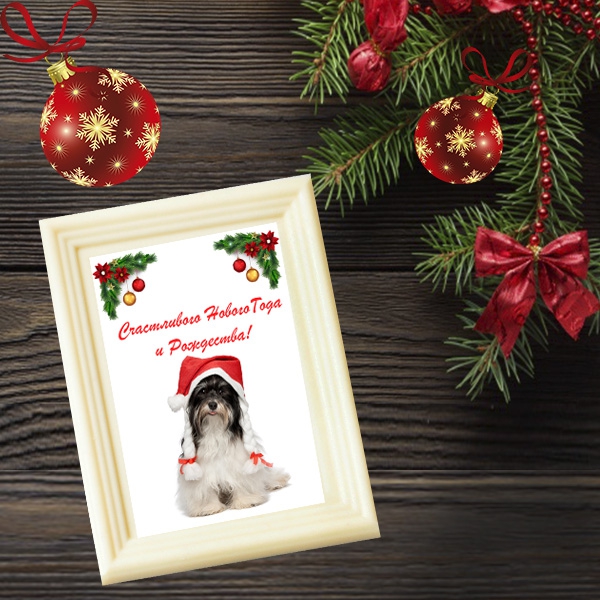 Шоколад на НГ