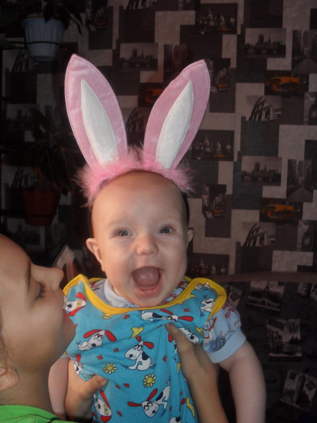 Родители ждали  сына,а родился  Зайчик, вот это да. 