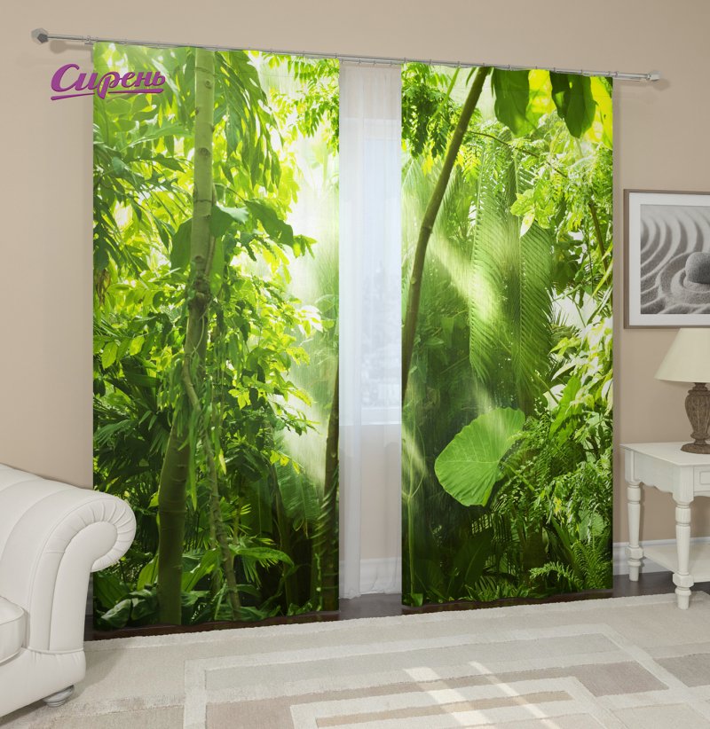 Тропический лес. 