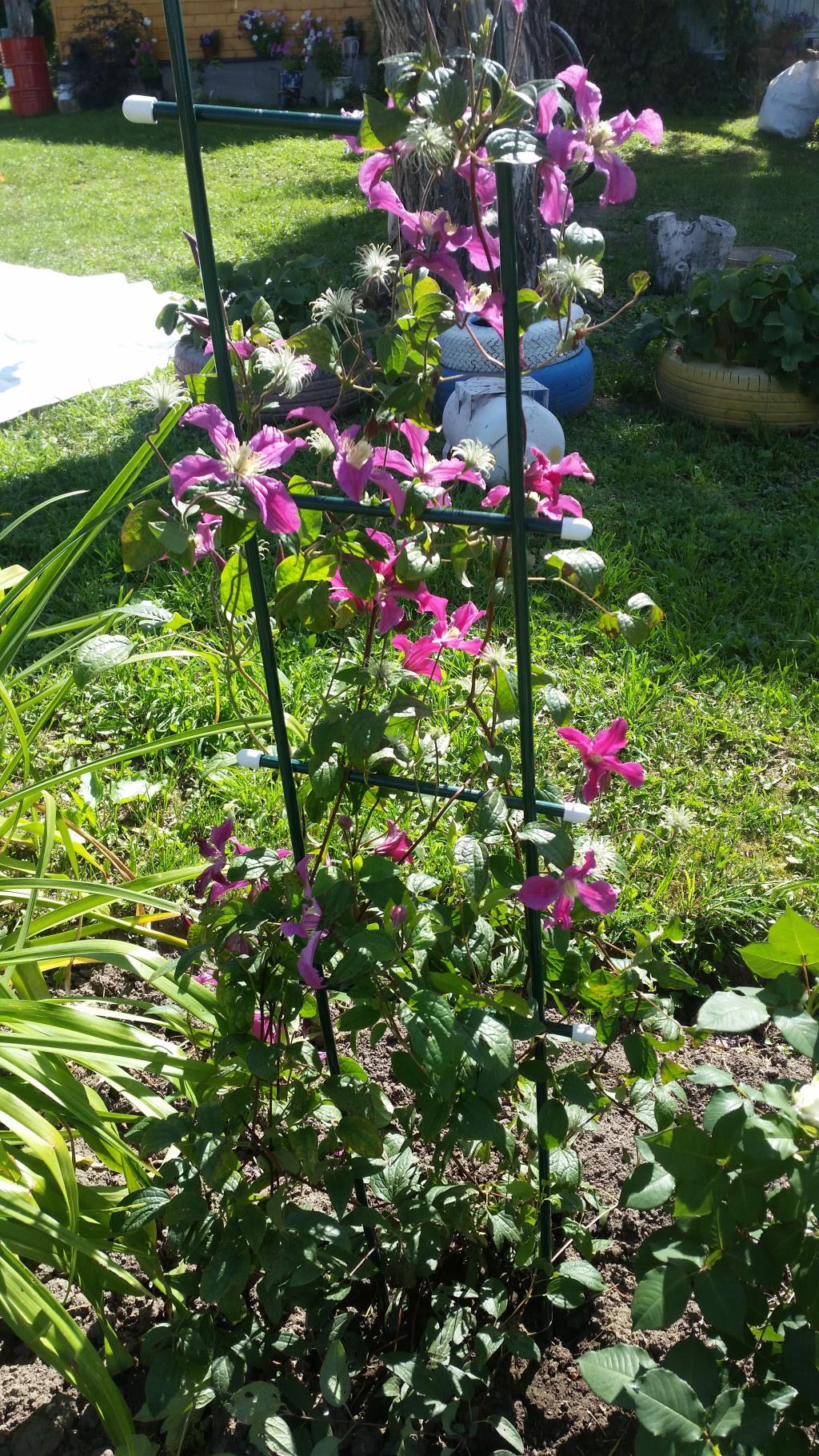 Шпалера Лесенка 1,85. 