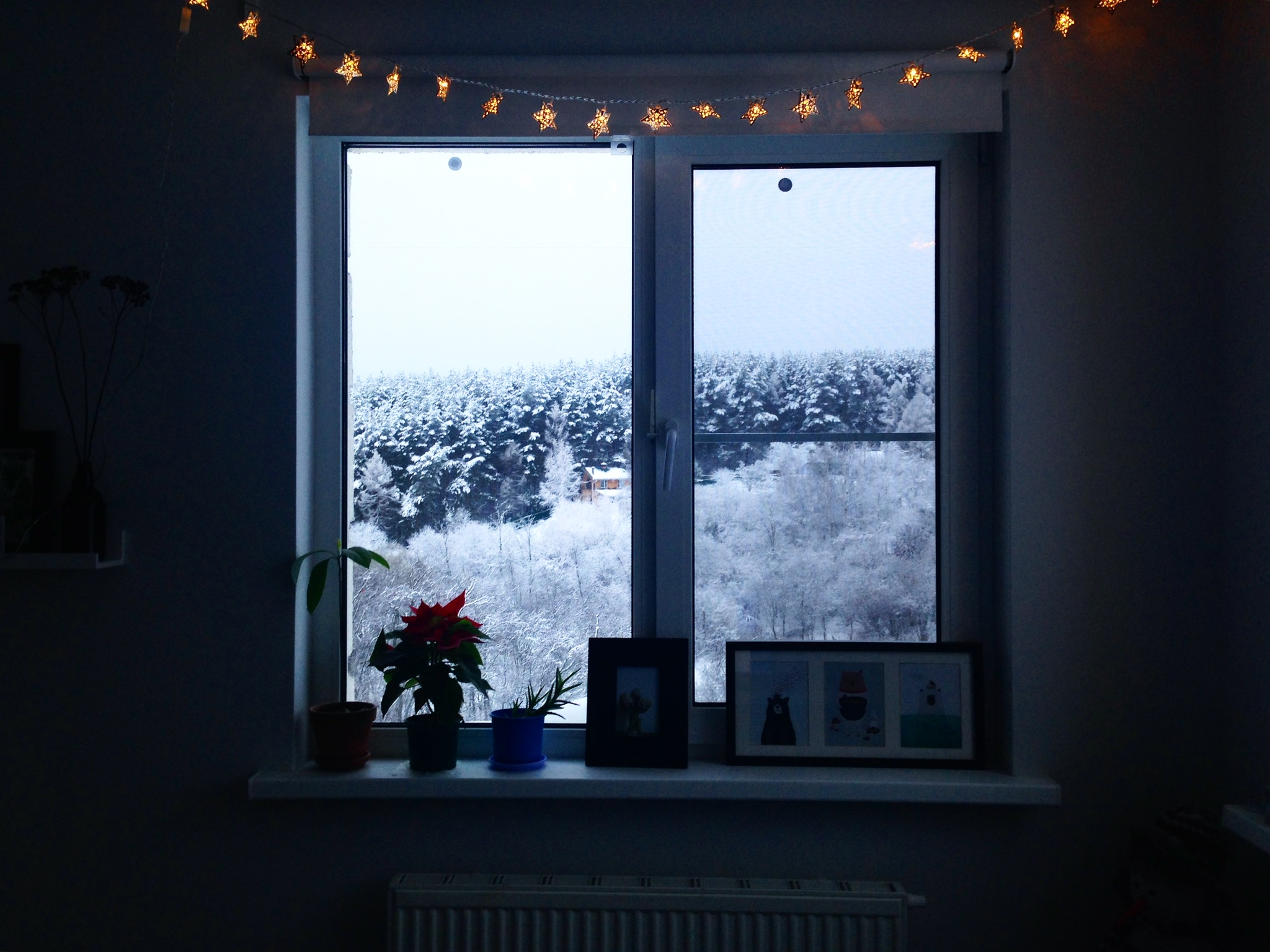 Окно в зимнюю сказку. Блиц: окна