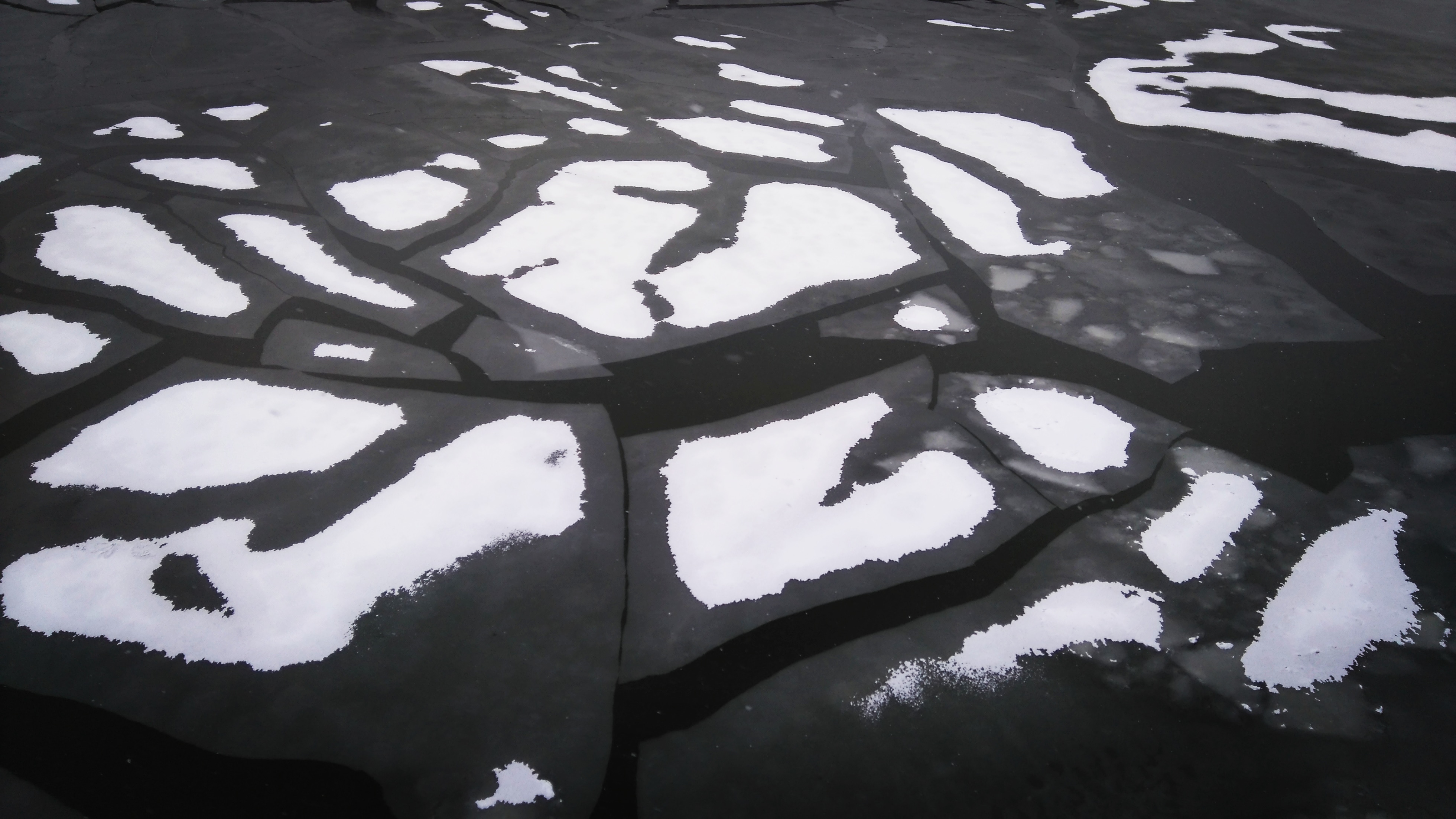 Лёд Москва-реки. Блиц: лед