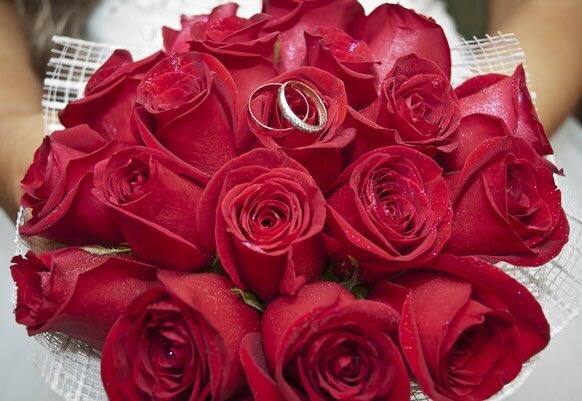Красные розы-Цветы любви