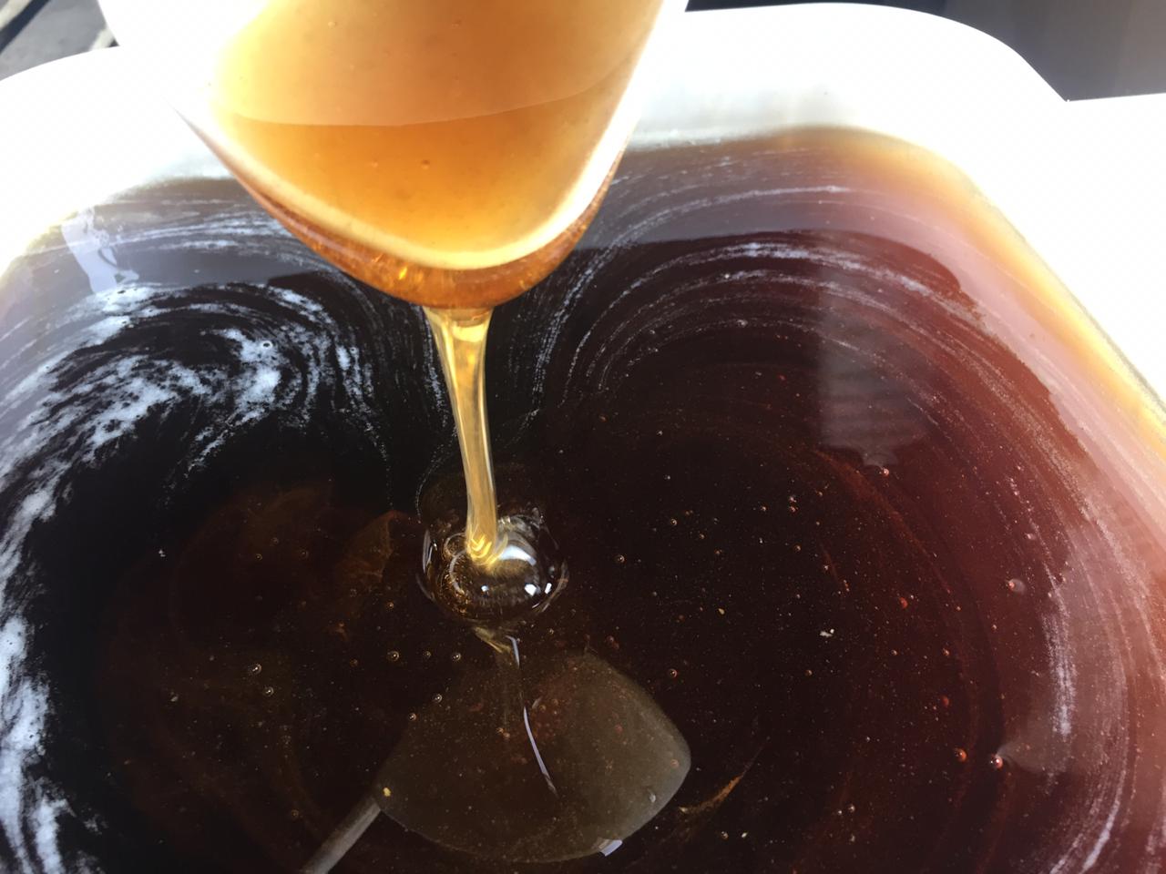 Почему мед темный. Разнотравье темное мед. Мед разнотравье темное в куботейнерах. Гречишный мёд. Мед темного цвета.