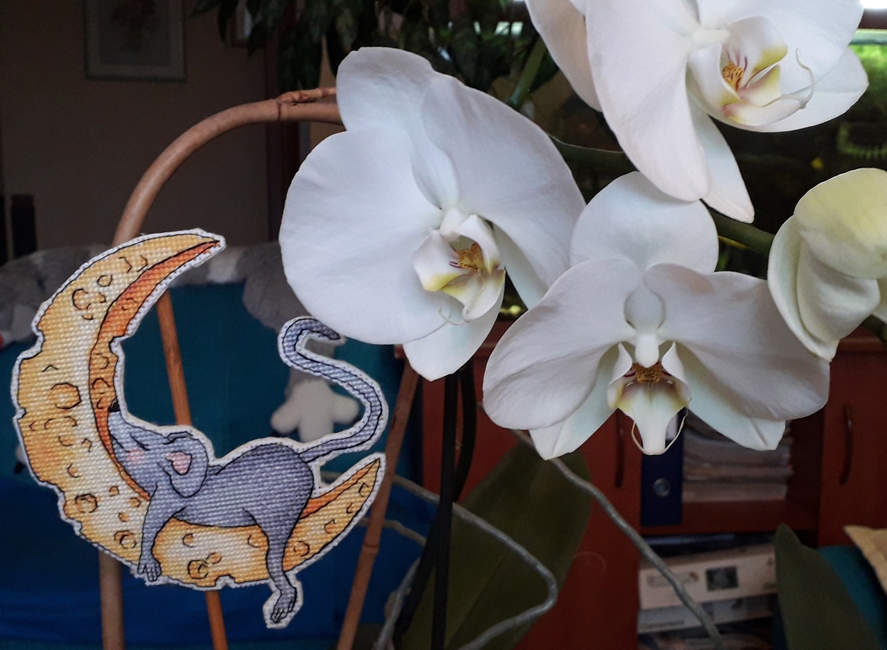 Сырная любовь от Виталии Мищук. Мои работы