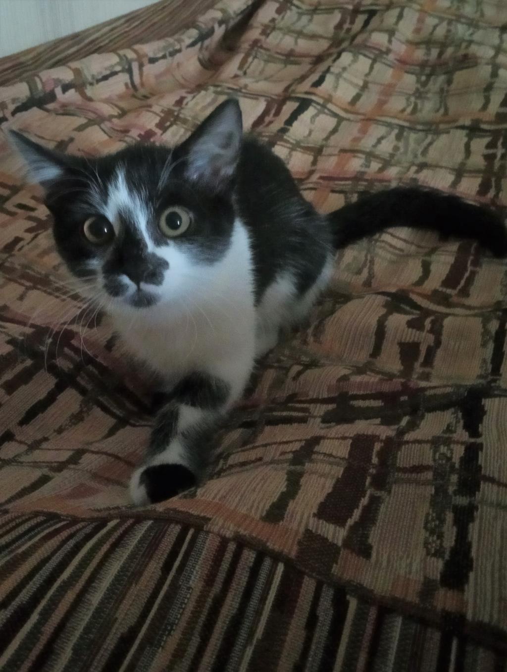 больше 3 мес