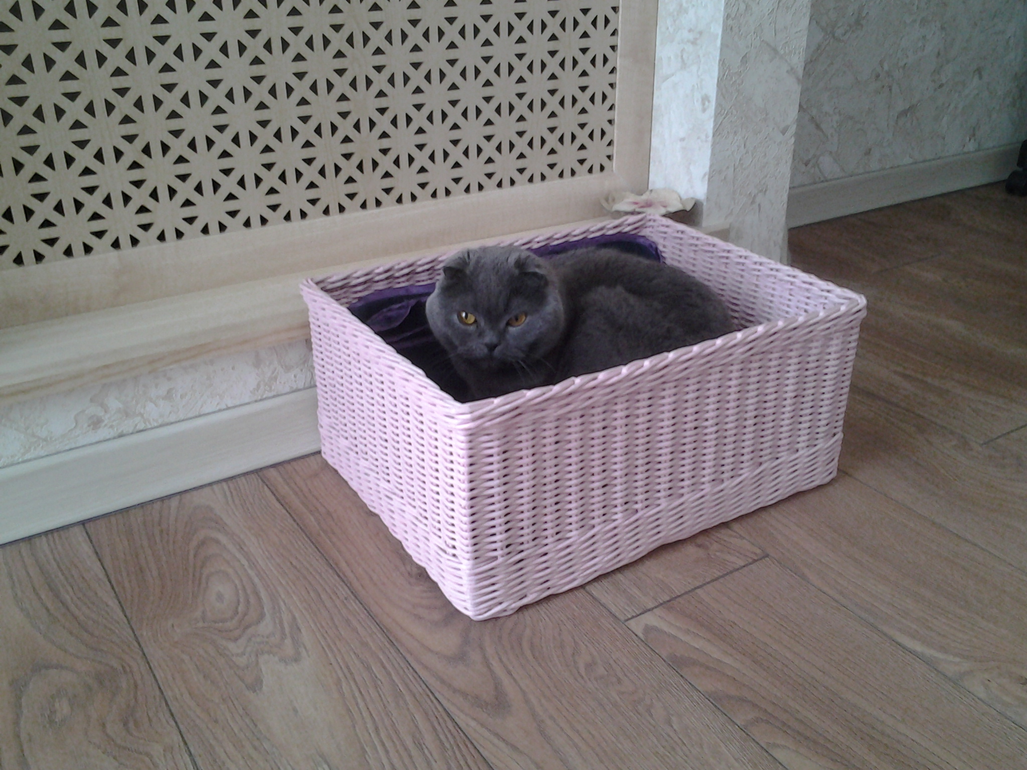 Корзины для ванной комнаты