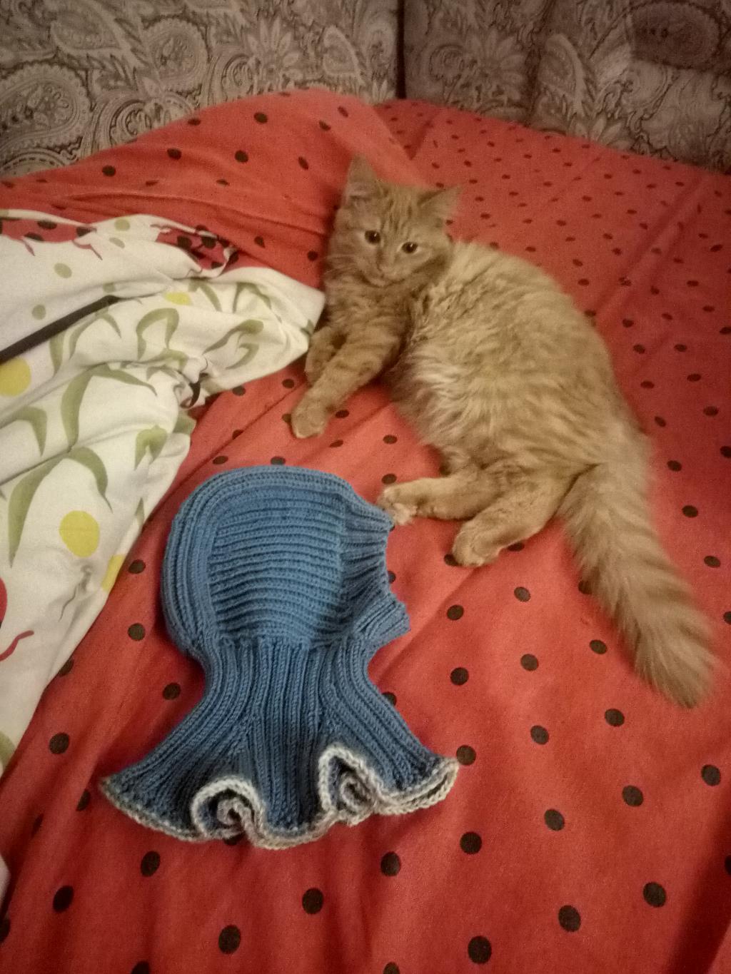 Мое вязание