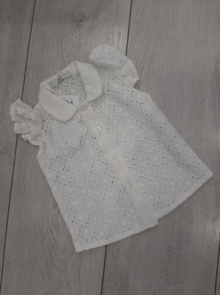  Y-clu 12 месяцев